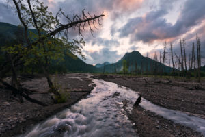 Forest reserve Friedergries in the Bavarian Alps, Germany Forest reserve Friedergries in the Bavarian Alps, Germany